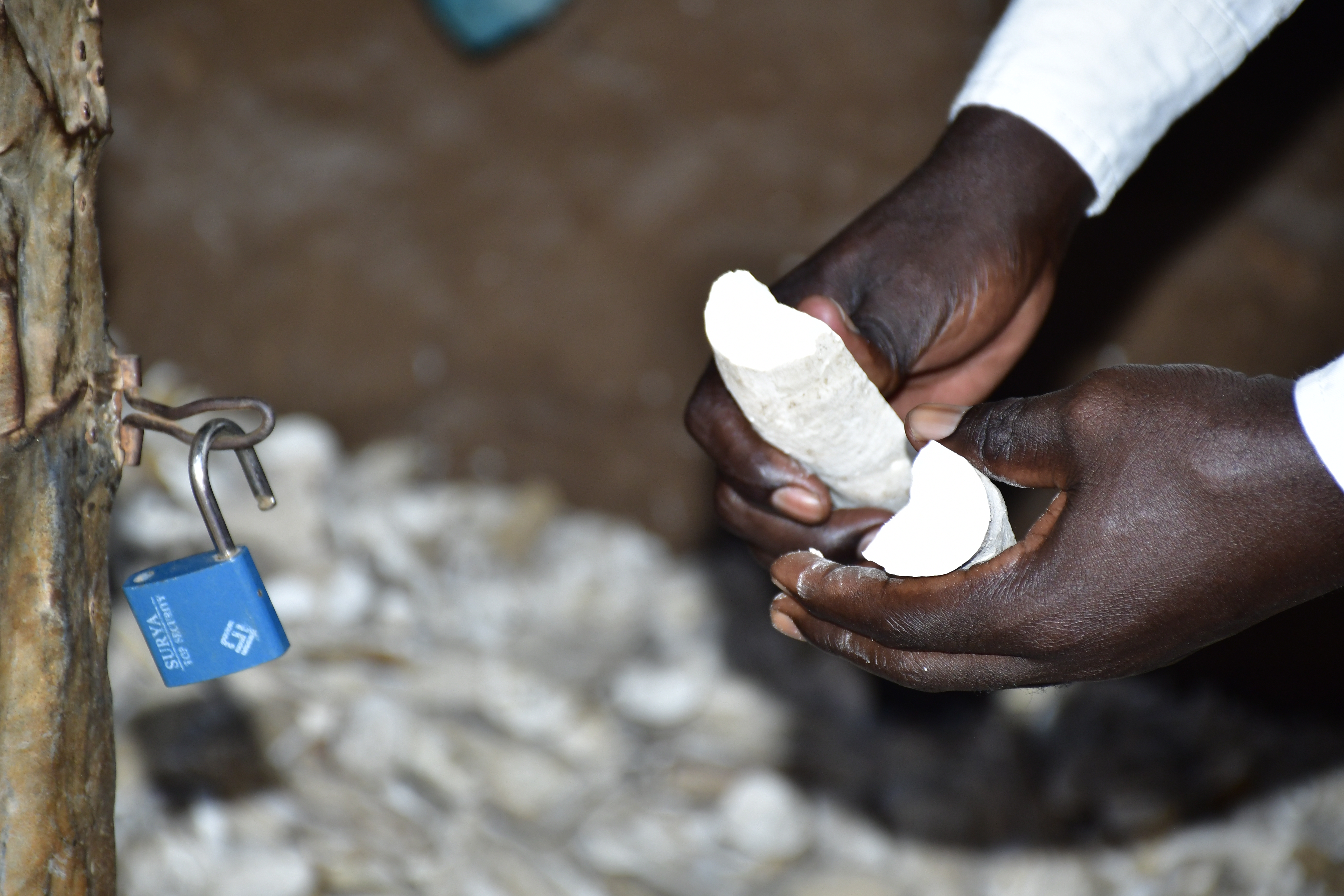 From the Garden to the Home: How Farming Is Changing Lives in Gwetom A