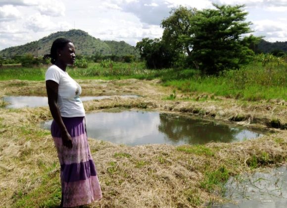 From Starvation to UGX 7M Annual Income; The Story of Sonia’s improved farming skills