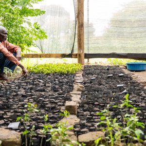 Climate Accelerator Action: Cultivating Resilience in Kaberamaido’s Changing Climate