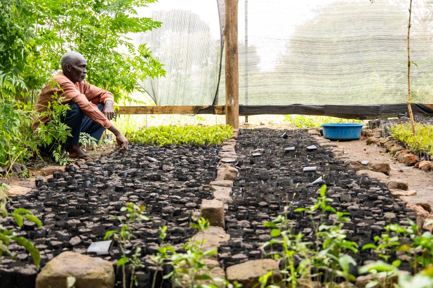 Climate Accelerator Action: Cultivating Resilience in Kaberamaido’s Changing Climate